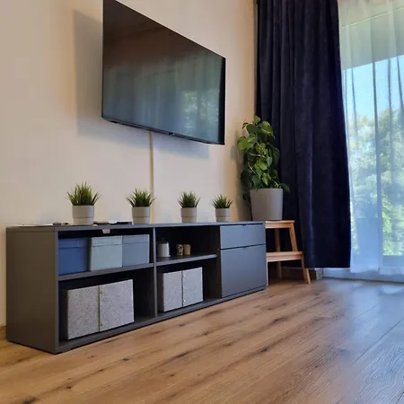 Apartment Aurum Oswiecim